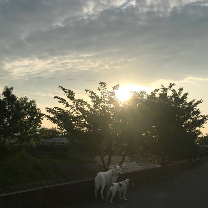 5eee72a5 8b5a 406f bd52 378324728ab0 1525081269625