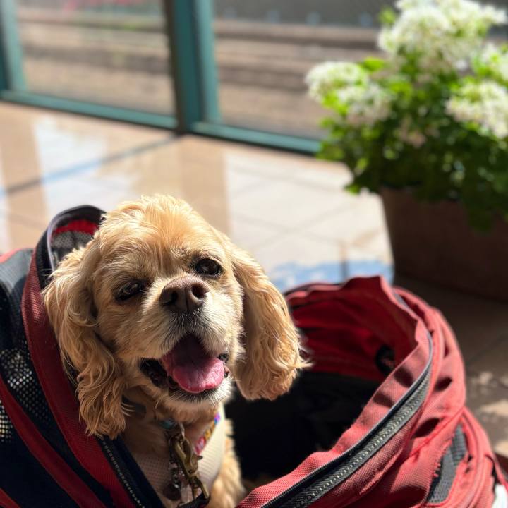 5eee9704 0abc 4638 ae82 00c9fe24529a 1776265862929