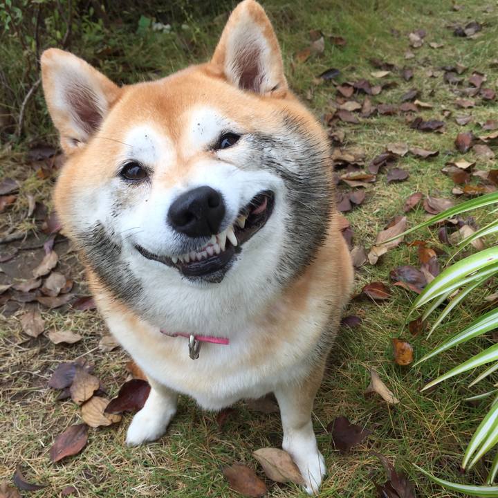 5eee9976 b579 42ec 841c 31656e3e18db 1574681355122