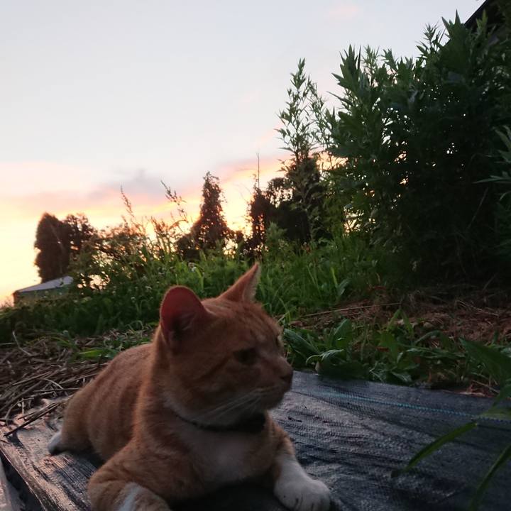 5eee9f1a b217 4784 8e4a 557c977f60bb 1564653994178