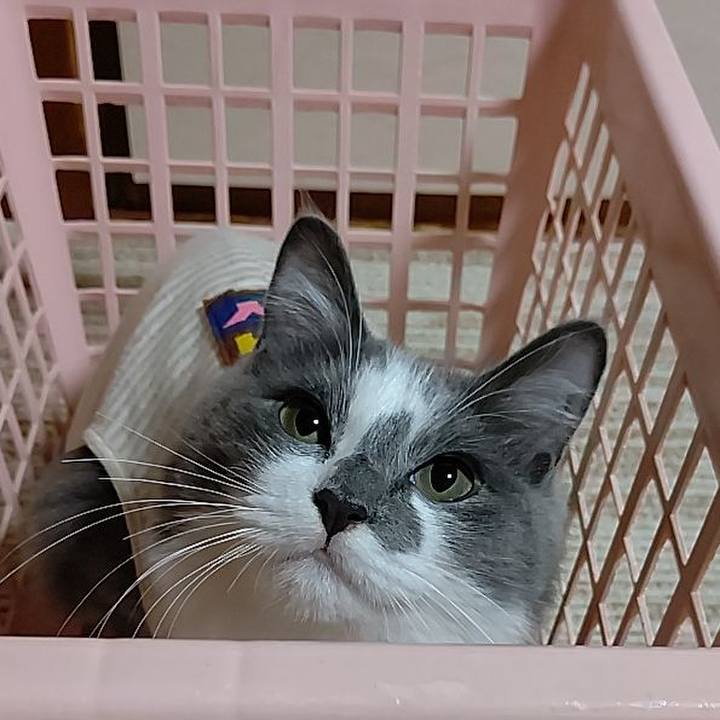 5eeea50b c0a1 4731 92e1 217ad9d996d3 1572857262416