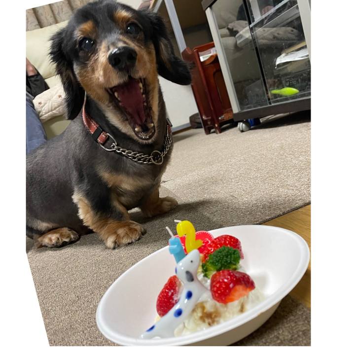 5eef05c0 31ba 4691 9f0d 230e5e5557ff 1616450582403