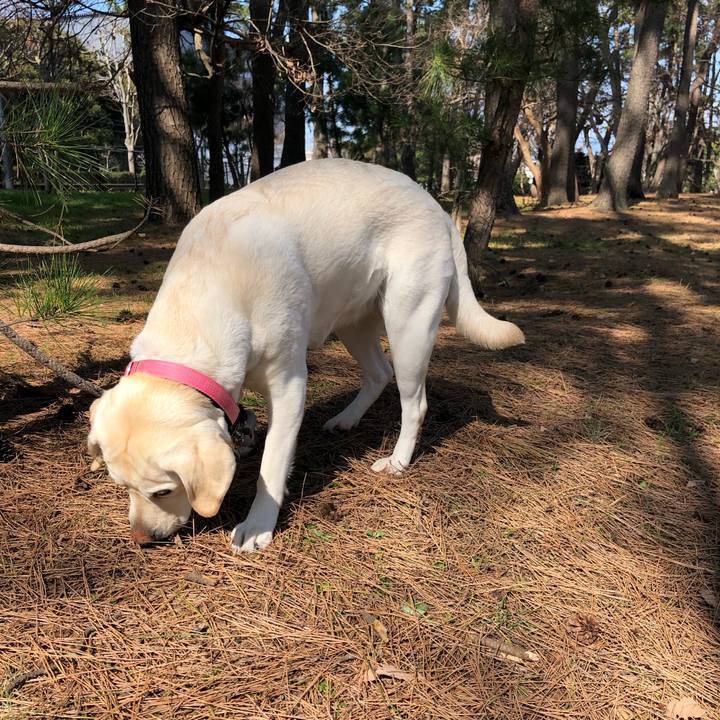 5eef5a92 fa00 48a4 8de6 b3d9d5178219 1582510946631