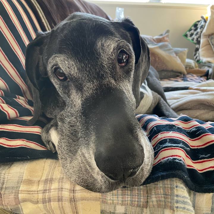 5eef9b74 d7ea 41a0 a3cb a6d7777607d6 1645741707387