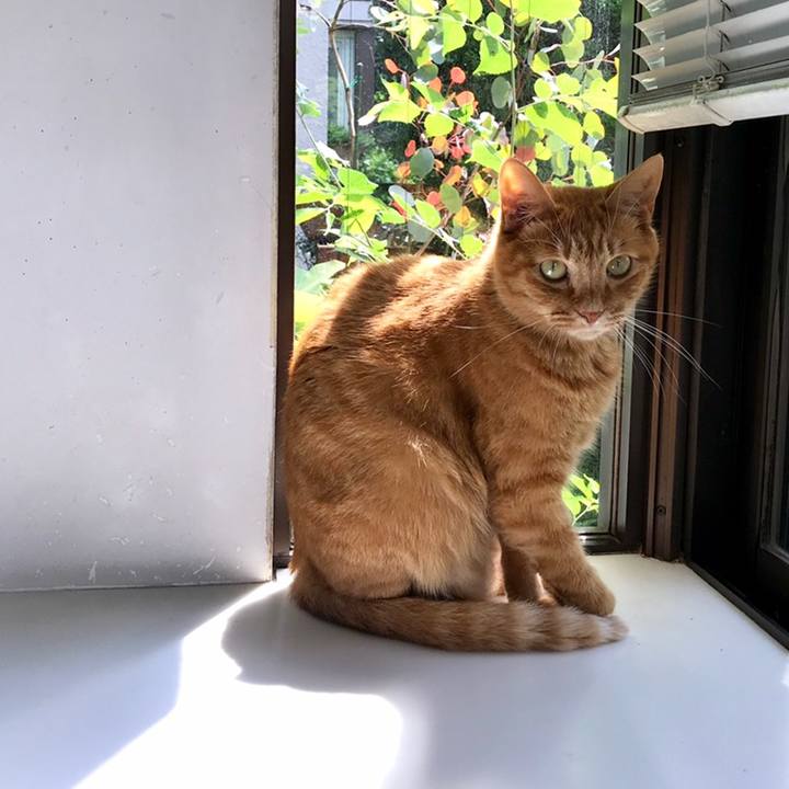 5eefc549 0e34 46b7 ba8c 926a67be9692 1560218592510