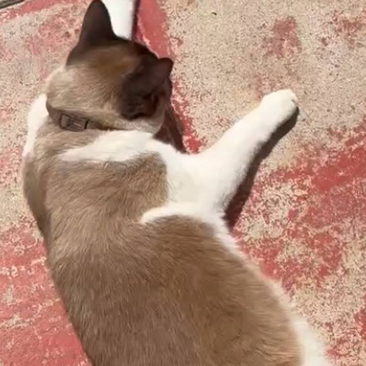 5eefd16e 89d8 4292 96b6 6534b98e048f 1747102722539