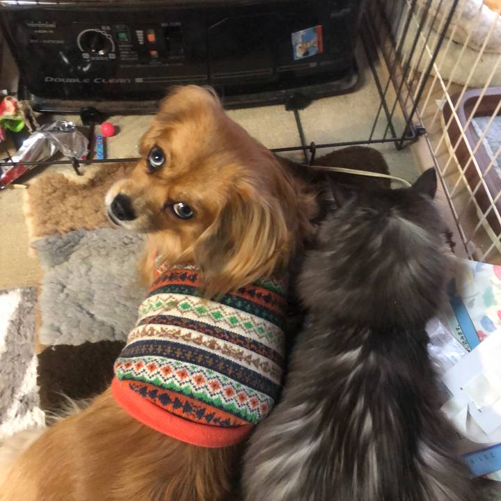 5eefeac4 a703 4766 b180 f91c3fb77bdc 1543617354381