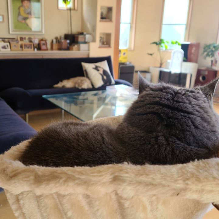 5eefeb49 5e5b 464f a038 23272e002d4a 1682378263481