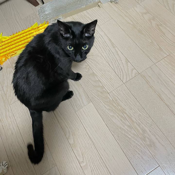 5eeff492 1443 458b a626 0a28b8ed91d2 1684062006489