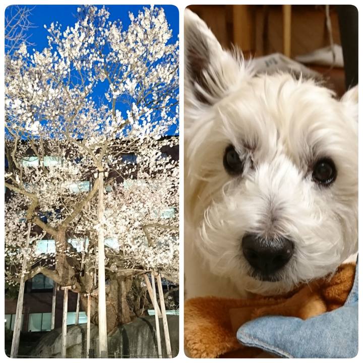 5ef09bde 67df 45fd 84d0 651f732a6f82 1524136453772