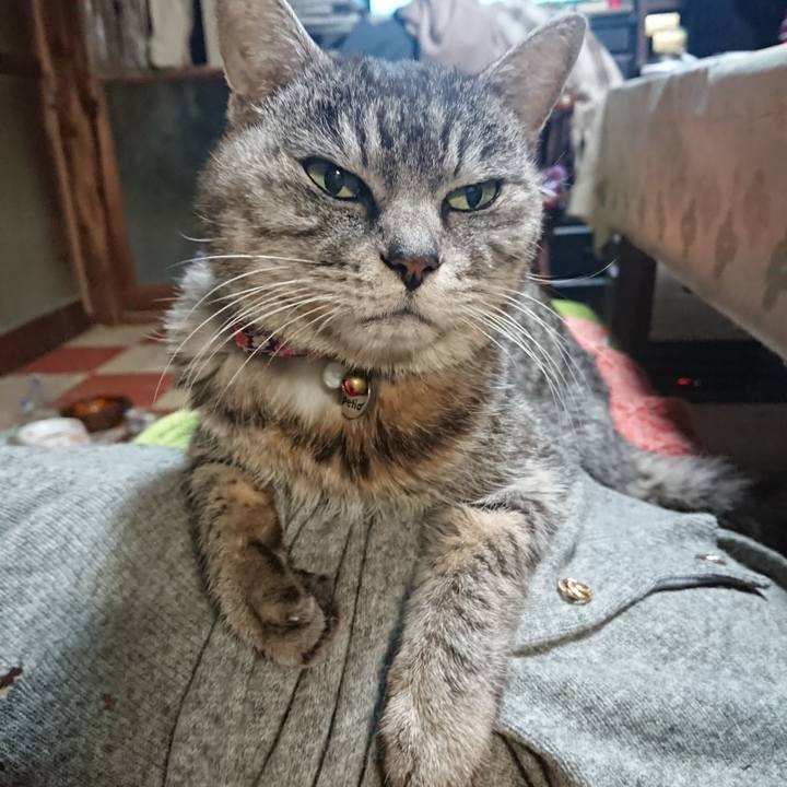 5ef0d05c 5e6d 4c61 b8b5 d10fc537b1b3 1579643649182