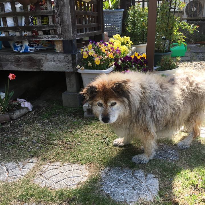 5ef0db07 d0d0 450c 9c67 094eafc02e88 1556498515925