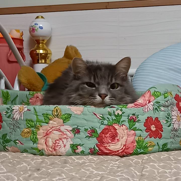 5ef0db4e c5ab 4ac7 ace2 48e5c44a461a 1608242969785