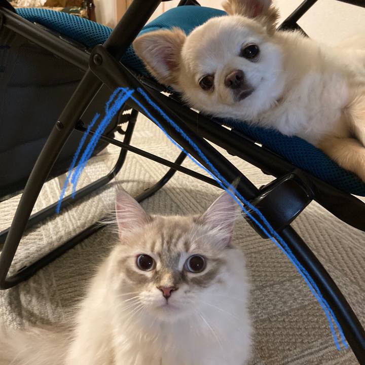 5ef0ec52 c1d3 46f3 a5df 2eb493cbb76e 1688044861683