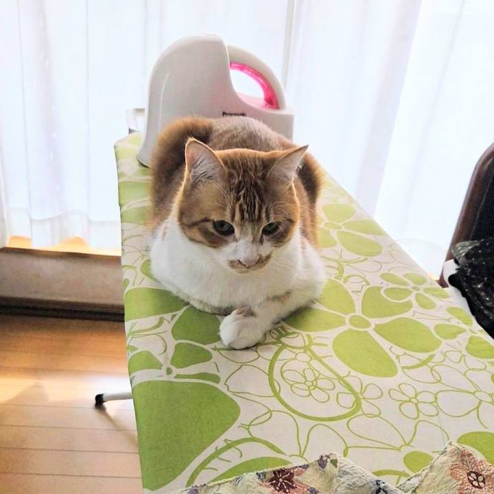 5ef15938 d431 44df becd 102557c18a38 1763175225238