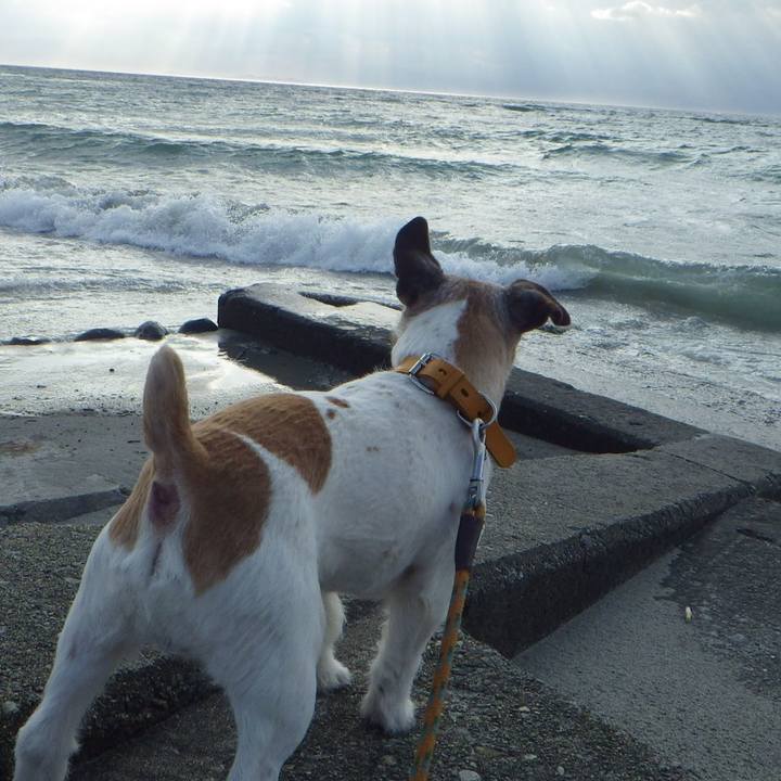 5ef17e21 5ab7 4fee a08f 553019cfa29c 1554290000057