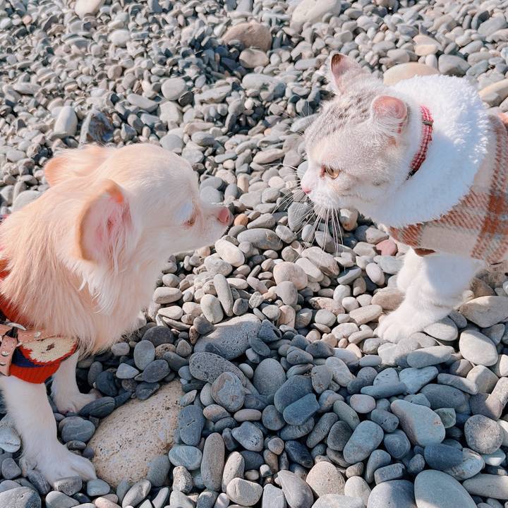 5ef18510 ec05 4637 a095 2ba588c02894 1673085469885