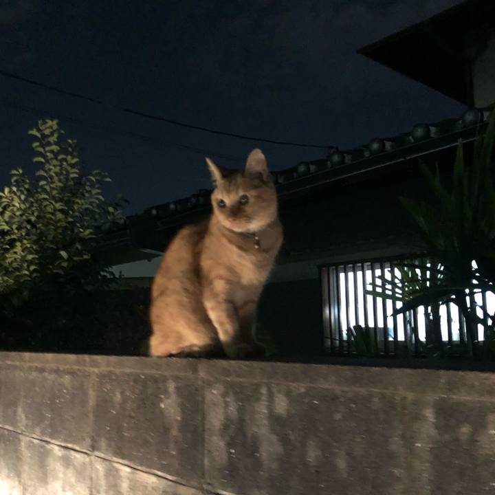 5ef1a6d3 4b6f 4696 9cd9 a03ab4a347de 1697628598041