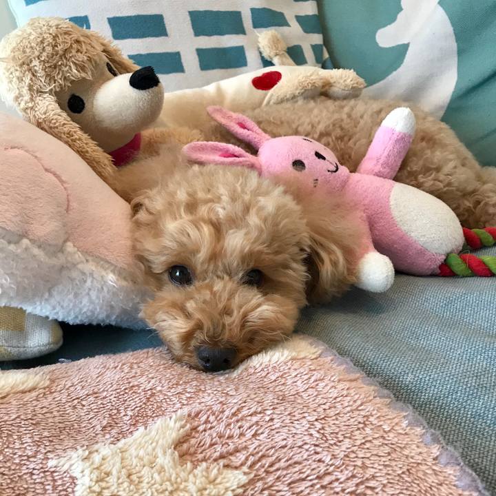 5ef1a9eb 640e 40d7 ae6a e24e175cf3f7 1587608886440