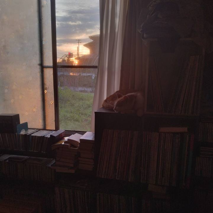 5ef1ccd8 3bd9 4100 984b a2f5a136a87c 1751233559311