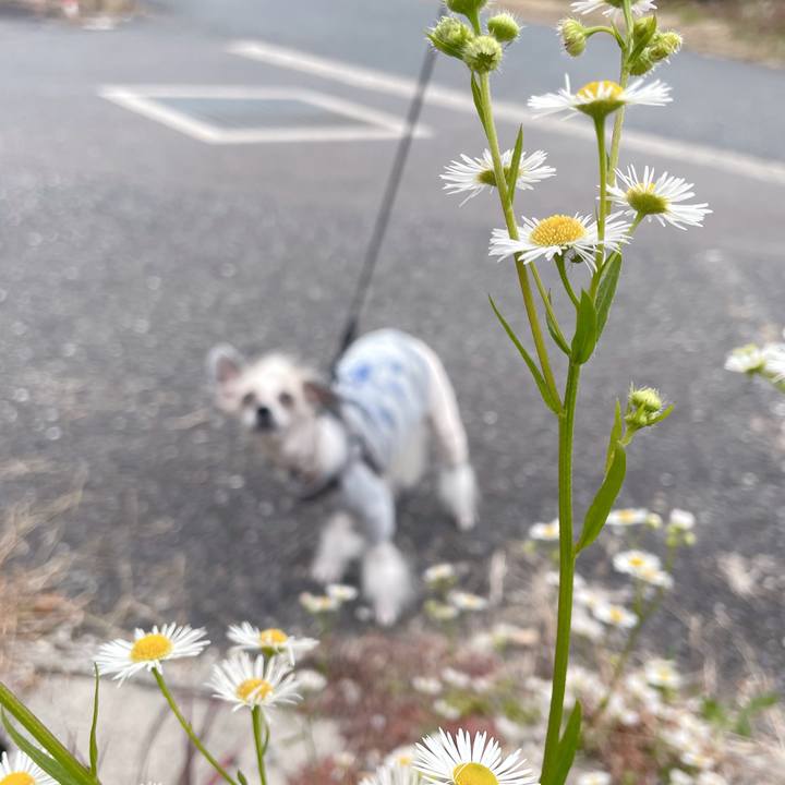 5ef20139 5e05 4468 acf3 25d145d59adb 1763974450597