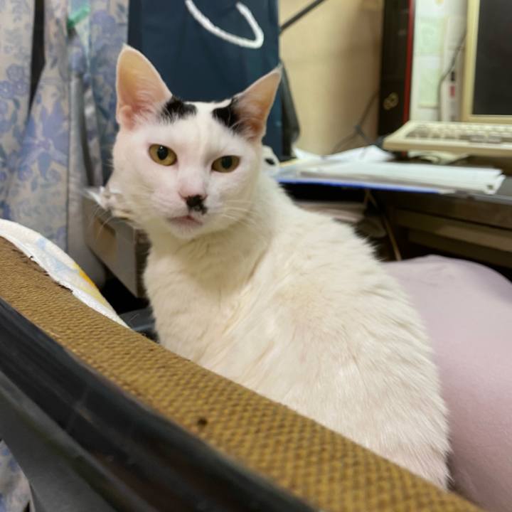 5ef205aa 0726 4cf3 b659 82bae5d83e99 1677759852352