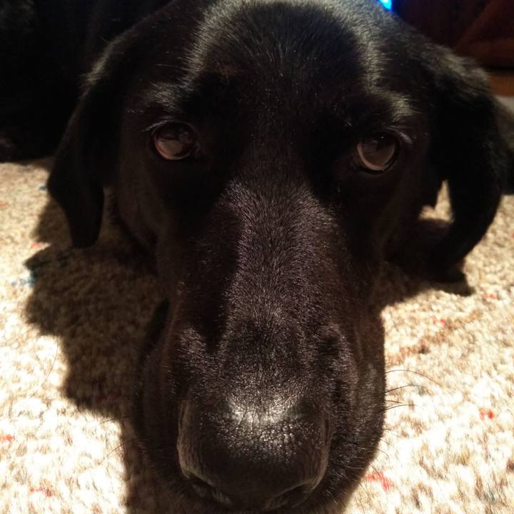 5ef212d3 c202 47ef 9b1d 457d749cb226 1590060849415