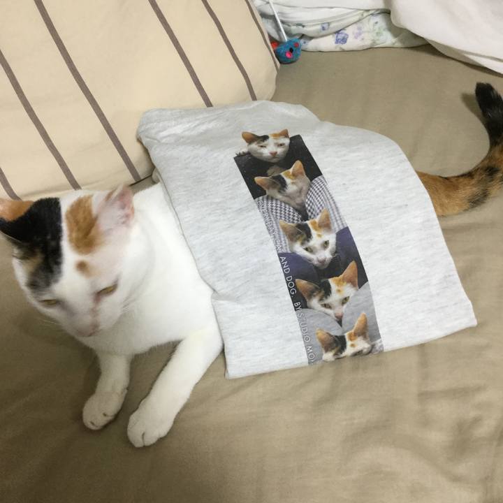 5ef21c3e 6903 4701 8948 c51f120dd95b 1599308044449