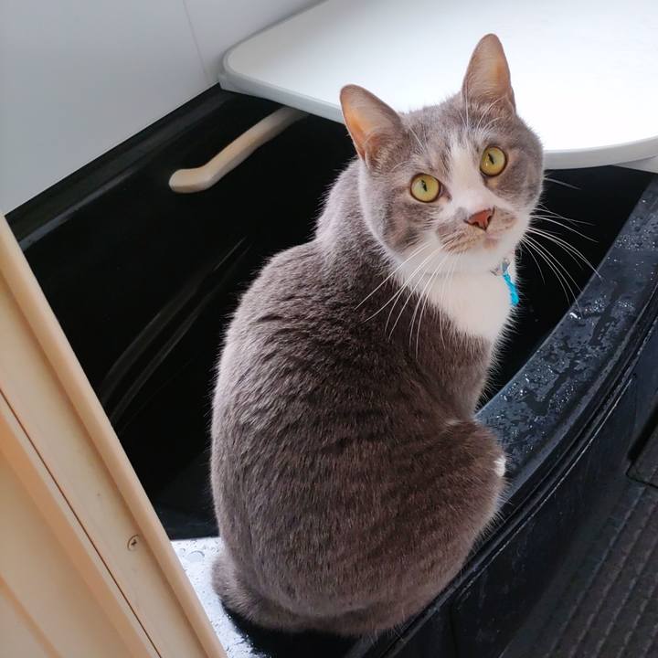 5ef21cc2 b5b7 496c 8f87 741063dc5242 1680671823115