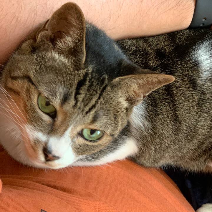 5ef2d6f7 0927 4d7e 8560 db406db45554 1599182316048