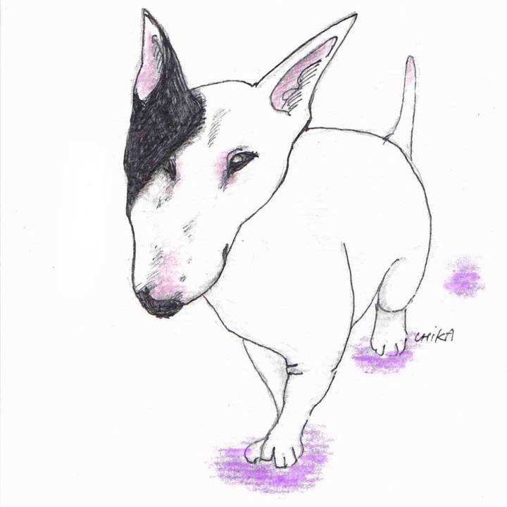 5ef348b6 14d5 4b25 bdde a843d2768563 1572416652111