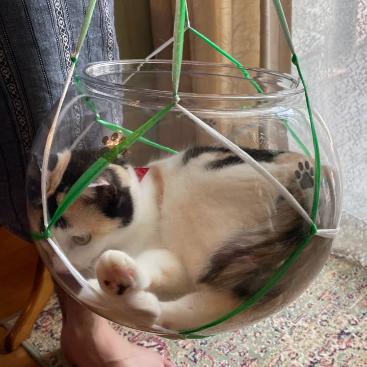 5ef34dc0 6d97 4171 befa dd6112399793 1722385043410