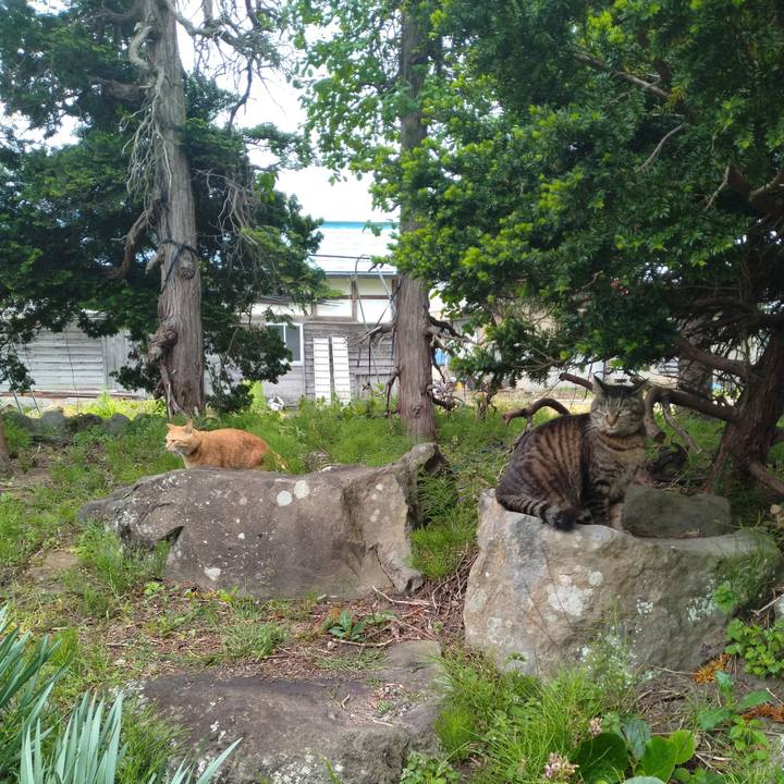 5ef3608a 6a6b 44b5 9259 a920e630bc82 1683357642481