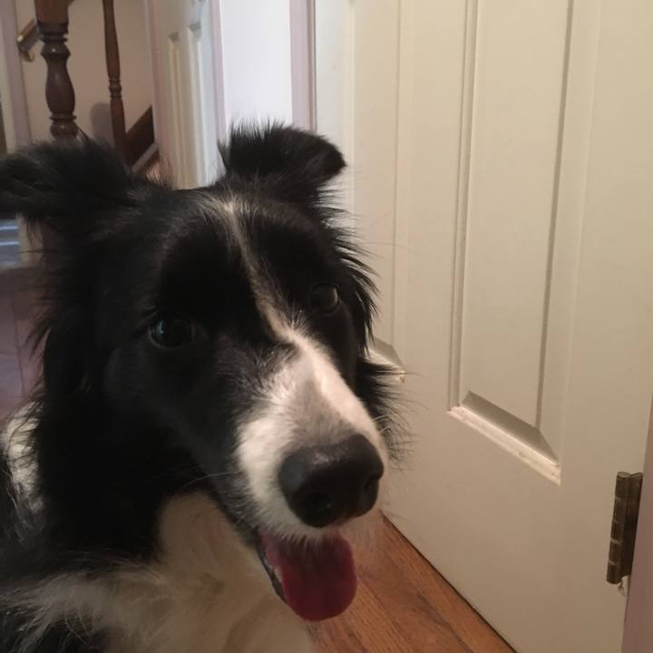 5ef3b10d 52eb 413d aef4 fc0d38331594 1515451604787