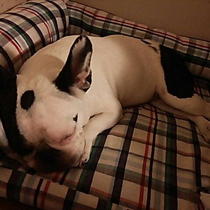 5ef3ccf2 c1d6 412e 9d74 5e9408ea8dc2 1531668075218