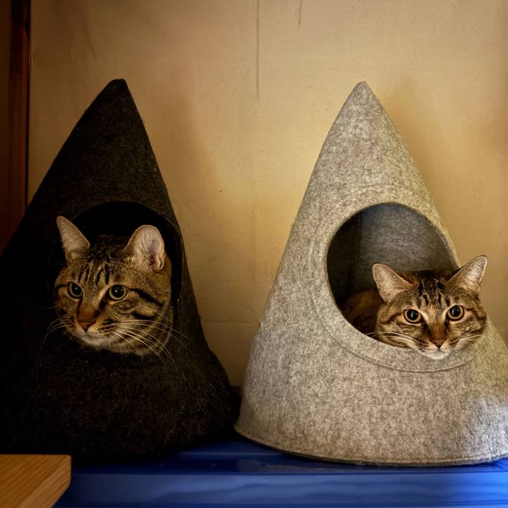 5ef42d3d 4128 426e 82b2 0521e379da99 1763588675284