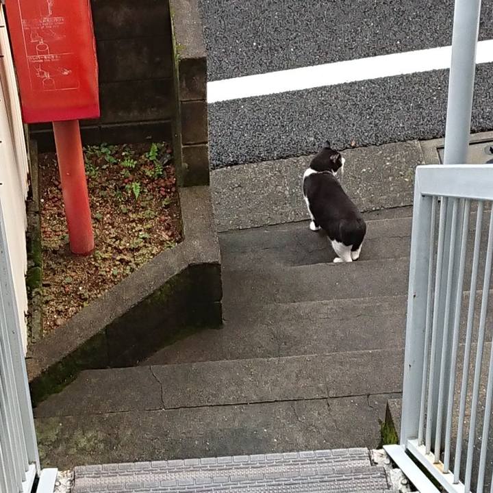 5ef46928 0ad7 46ae be19 b706e2c50e40 1663536337604