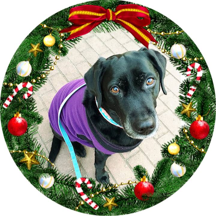 5ef47946 6413 42c7 8403 059692819e85 1513945206808