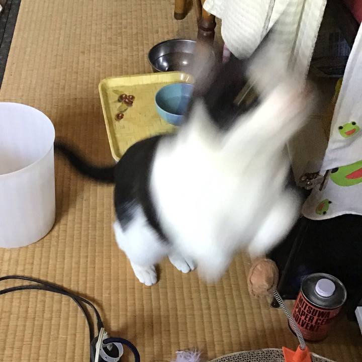 5ef4997e ee28 42ab 952b b38e45ff2999 1651553272900