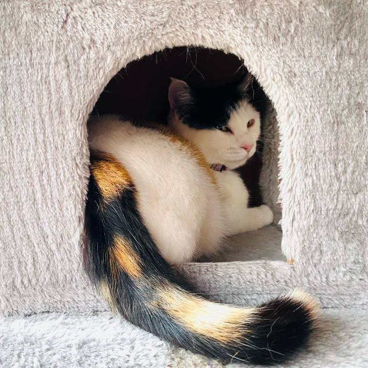 5ef4c0c9 3861 48e0 8a7d a49182c01310 1650962376663