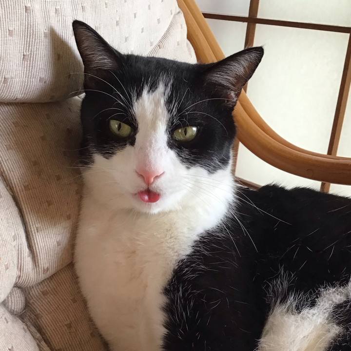 5ef4c471 4fe1 4c88 823b eac180cd1c70 1722418811440