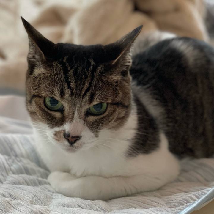 5ef4cb6b e0b7 426b 8e3e fdfa04b2042c 1621993962594