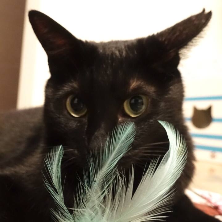 5ef4cba3 1270 45fa 8c39 7e938a191844 1548427842833