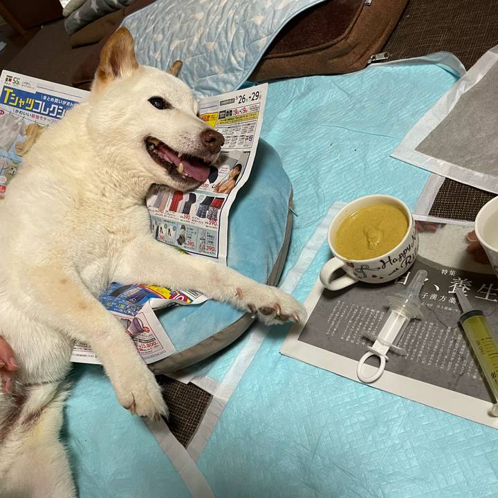 5ef4d67f 7856 468f a22c c0ff276ecaa7 1653665524274