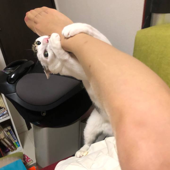 5ef4f6e8 c773 4507 91dd 2354700754b5 1562163554870