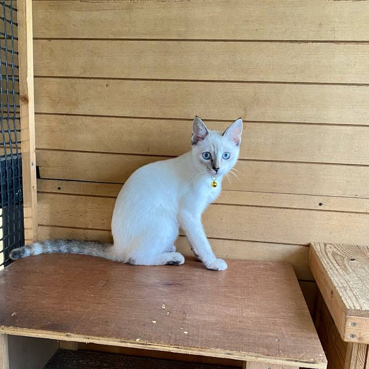 5ef4f870 9032 439a 8db5 1830ddefbd73 1631159782523