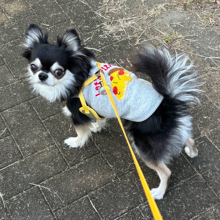 5ef4fd8a 66d6 4ec5 9143 dcc29305f311 1731169195537