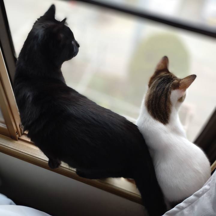 5ef4fdc4 878c 4468 9da8 abb8fa71b0c3 1683275919060