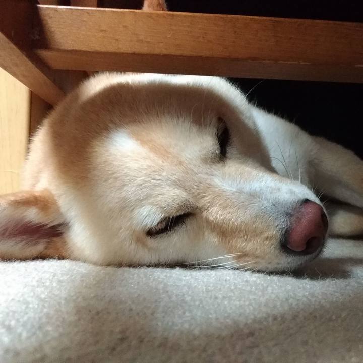 5ef502bf f1f5 455b 9071 77a2f609adfb 1568670155554