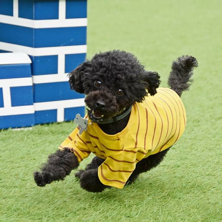 5ef5060f 4087 46b0 8aed d36bd5faec2c 1584980125155